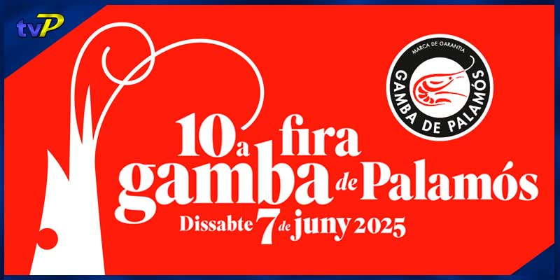museu-de-la-pesca-10-fira-de-la-gamba-2025-vep-agenda-de-palamos