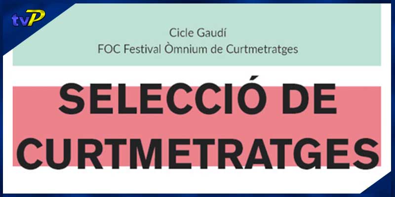 cinema-foc-festival-omnium-de-curtmetratges-2025-ve-agenda-de-palamos