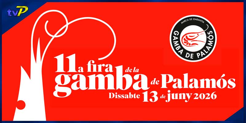 museu-de-la-pesca-11-fira-de-la-gamba-2026-vep-agenda-de-palamos